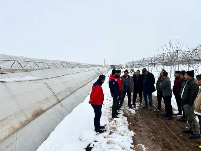 G Giev M X A A Ajo Wn