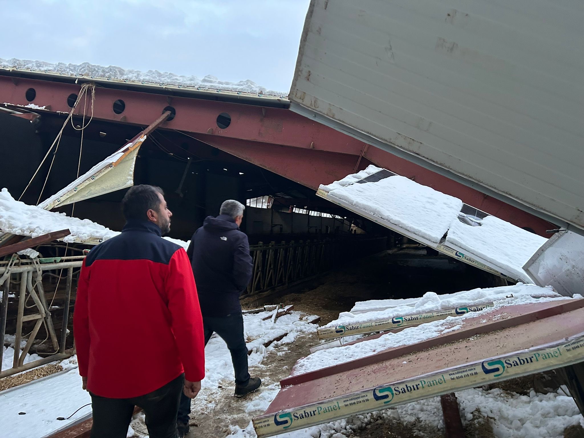 G Jr Sya X M Awon Mp