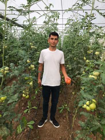 G S L4 Q Lb Q A I Ls6 B