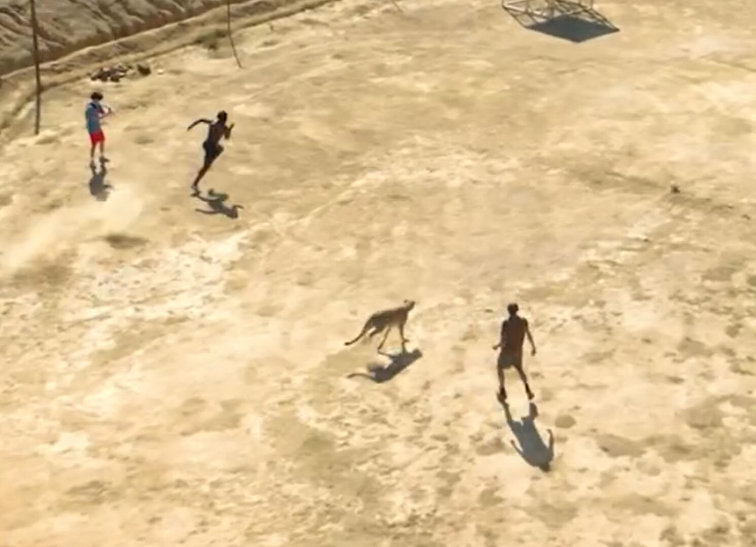 İ S H O W S P E E D