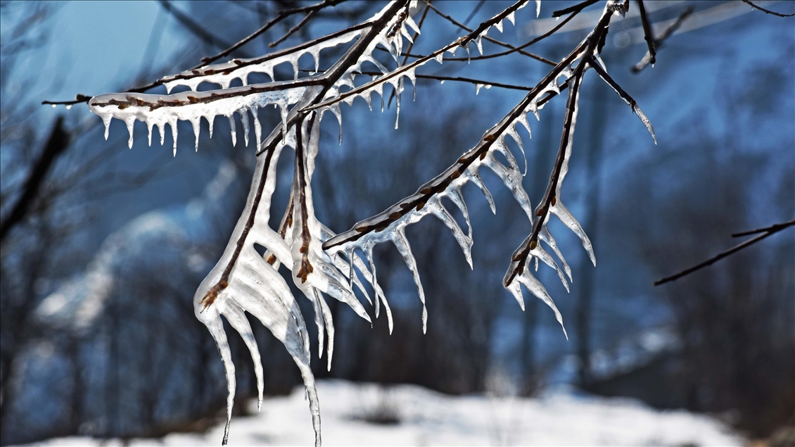 Thumbs B2 0B6158F7Cb330E6B50B51Cce66D3C284