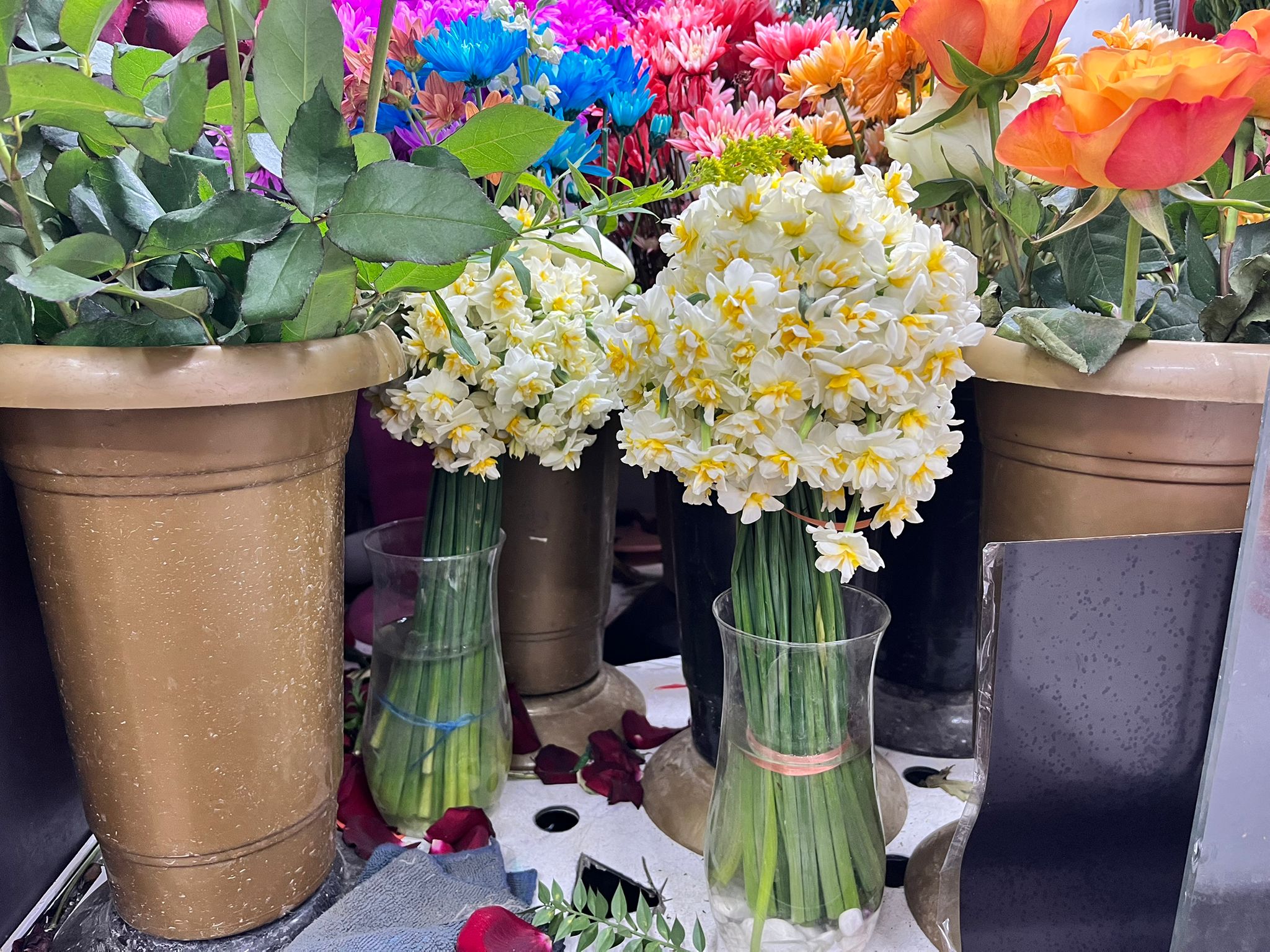 Whatsapp Image 2026 01 01 At 13.44.07