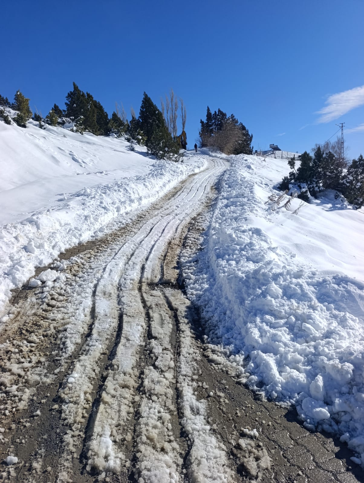 Whatsapp Image 2026 01 10 At 15.50.45