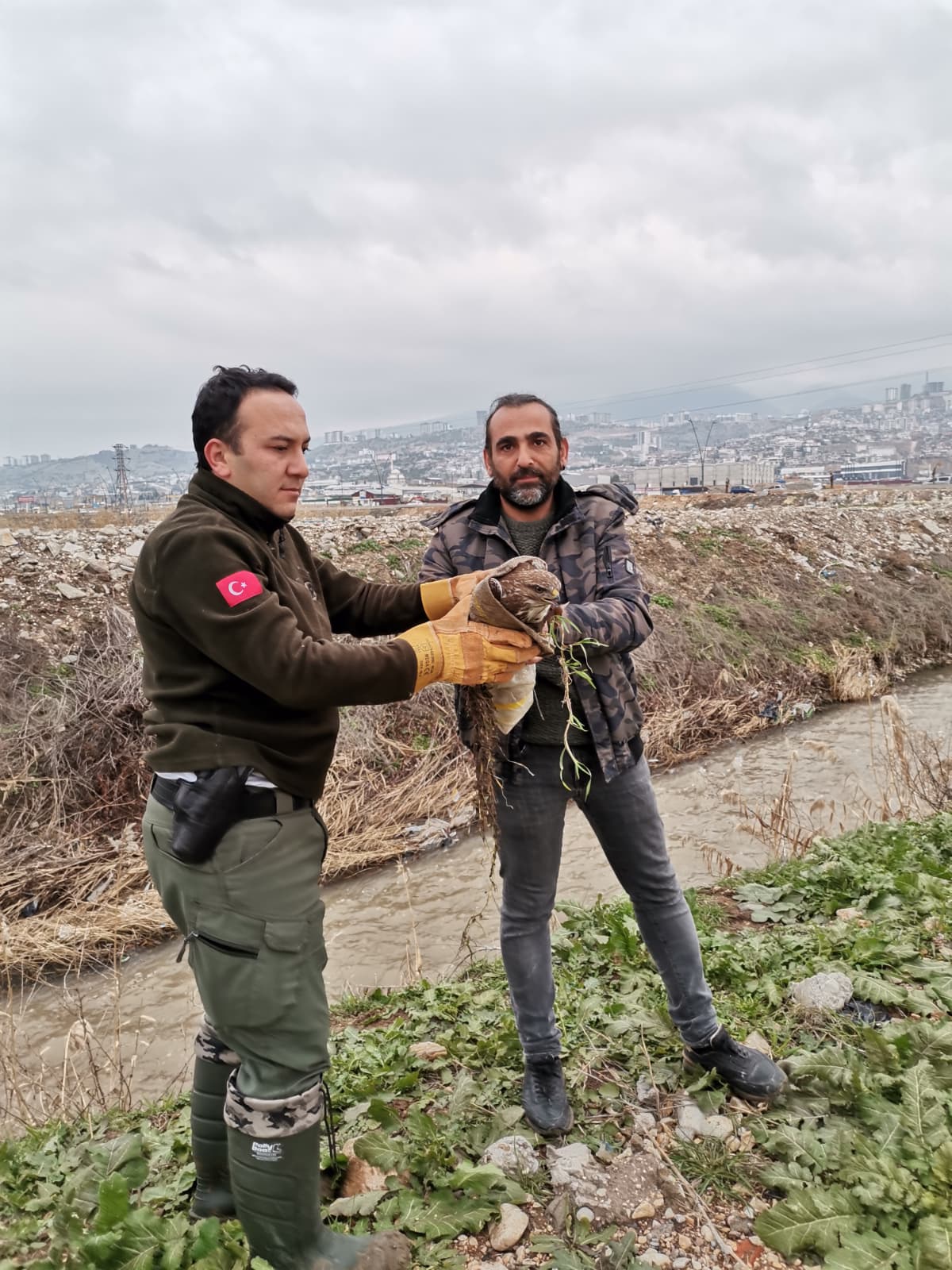 Whatsapp Image 2026 01 18 At 12.17.19