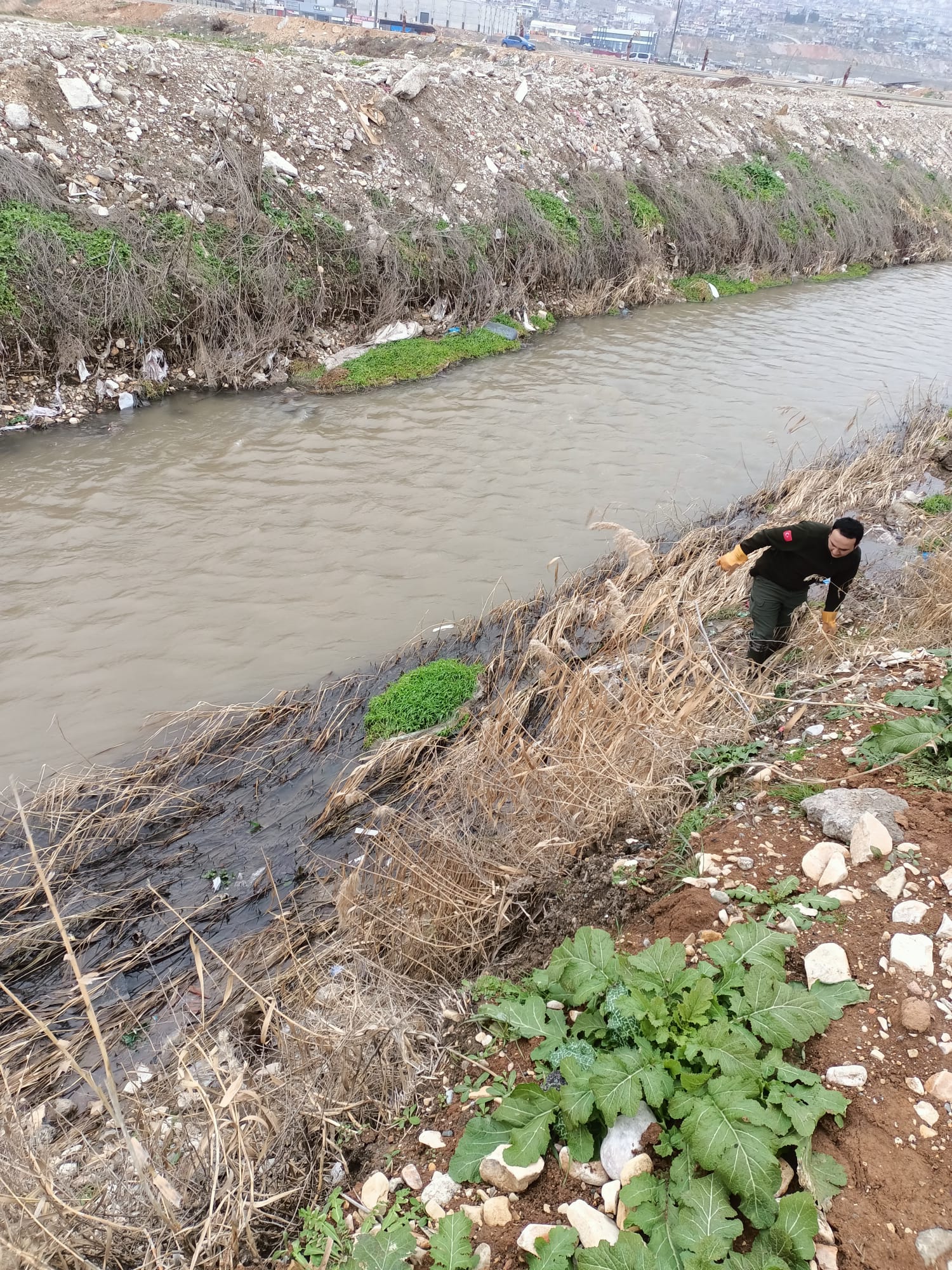 Whatsapp Image 2026 01 18 At 12.17.20 (1)