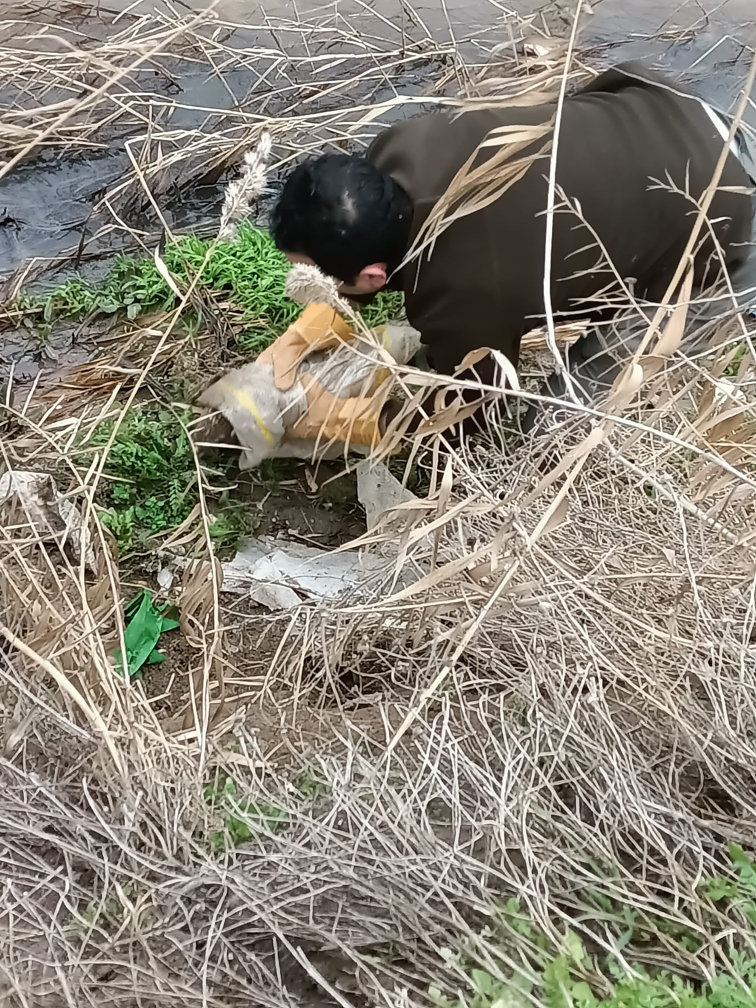 Whatsapp Image 2026 01 18 At 12.17.20