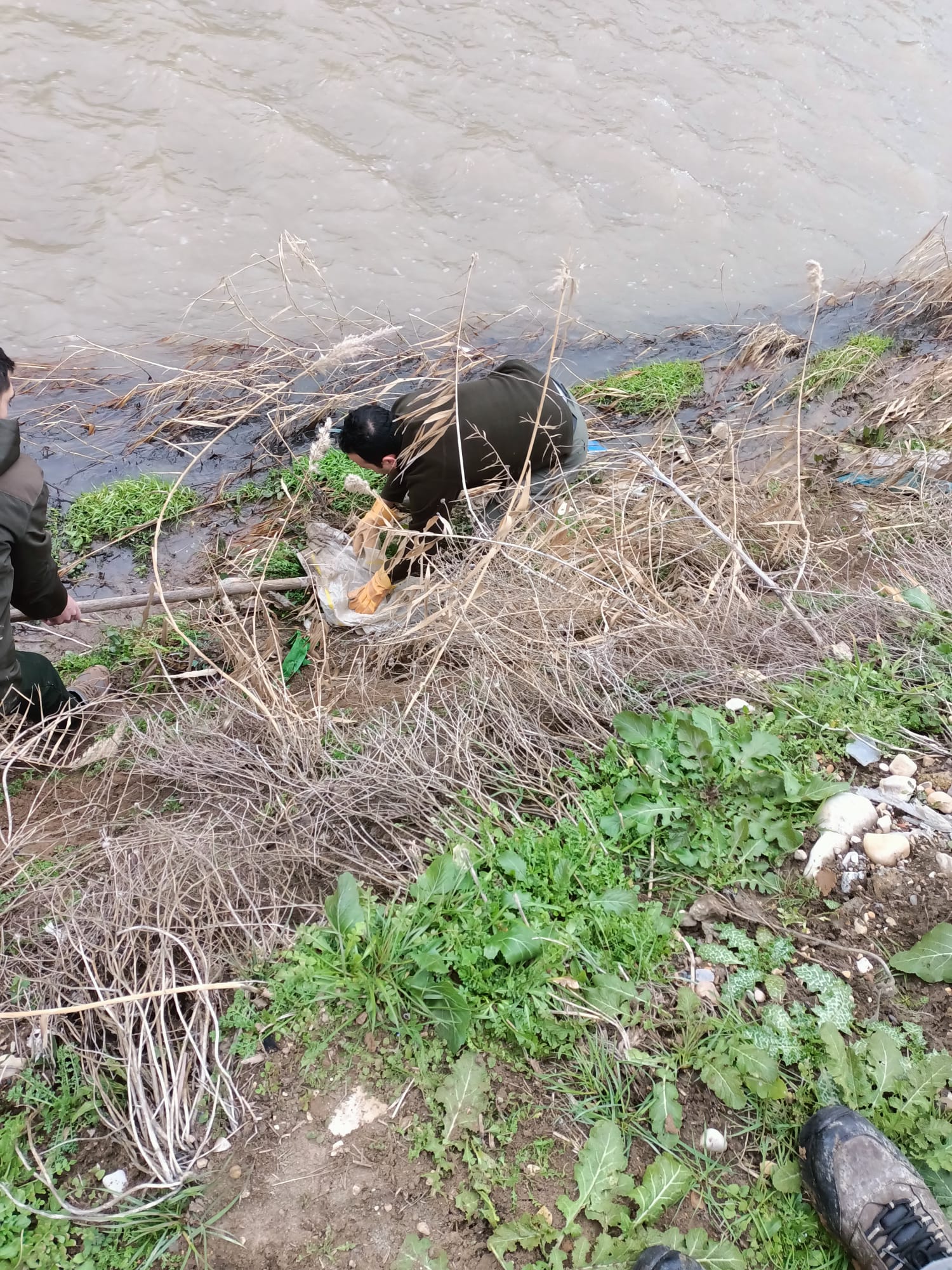 Whatsapp Image 2026 01 18 At 12.17.21 (1)