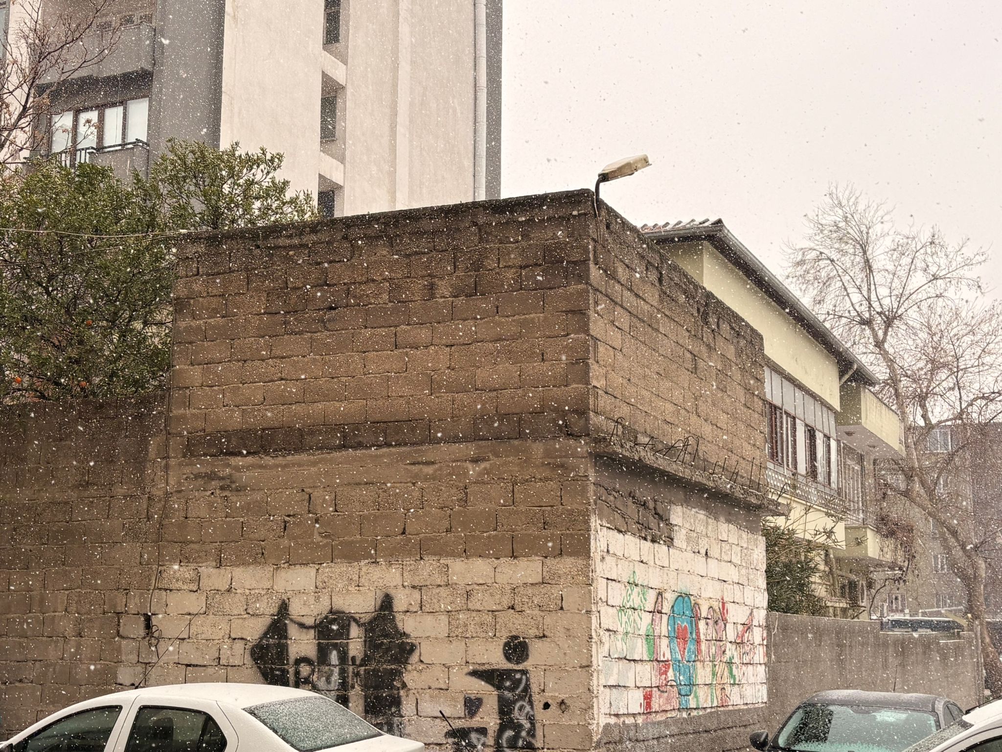 Whatsapp Image 2026 01 22 At 11.45.19 (1)