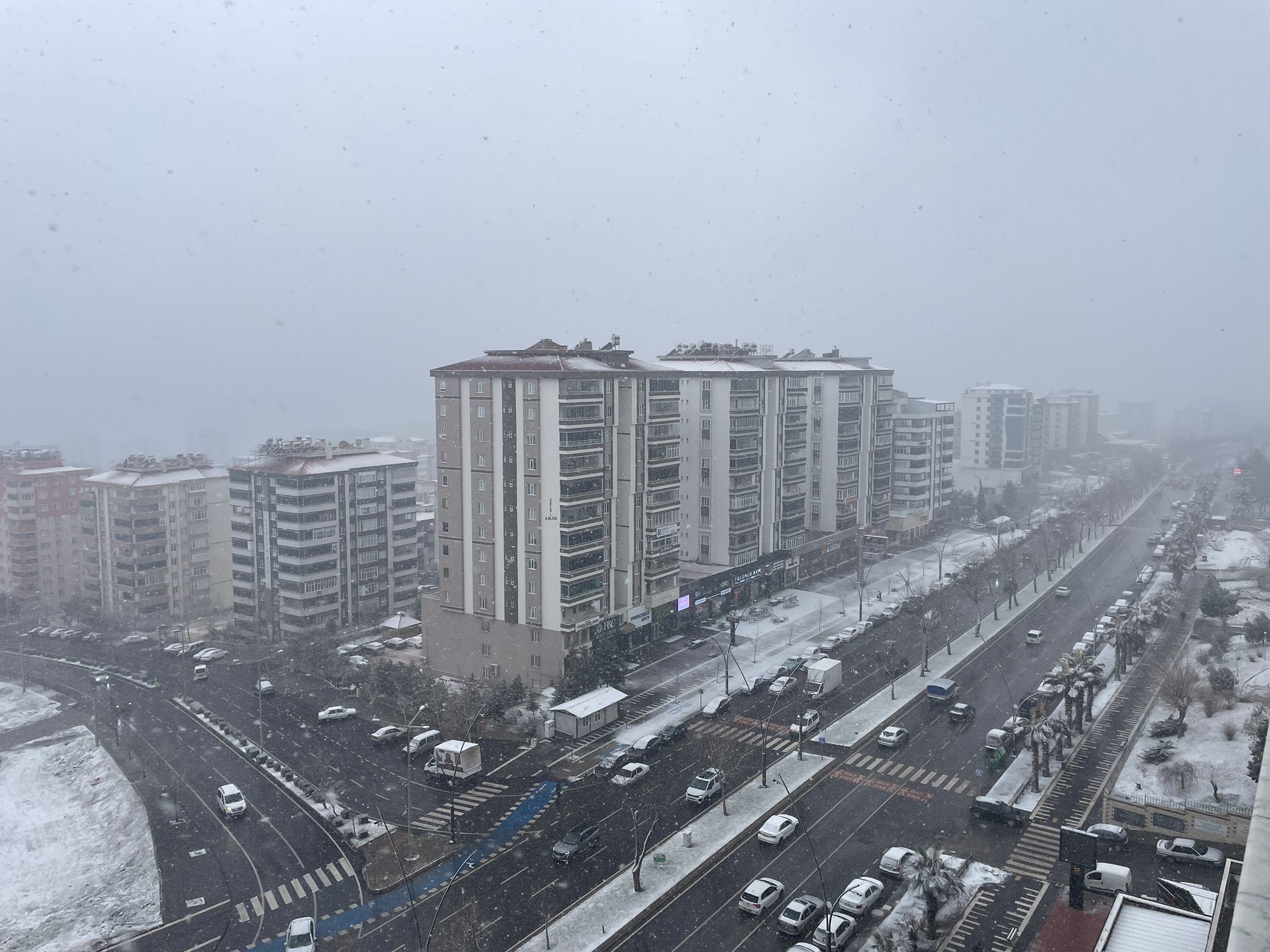 Whatsapp Image 2026 01 22 At 11.47.39