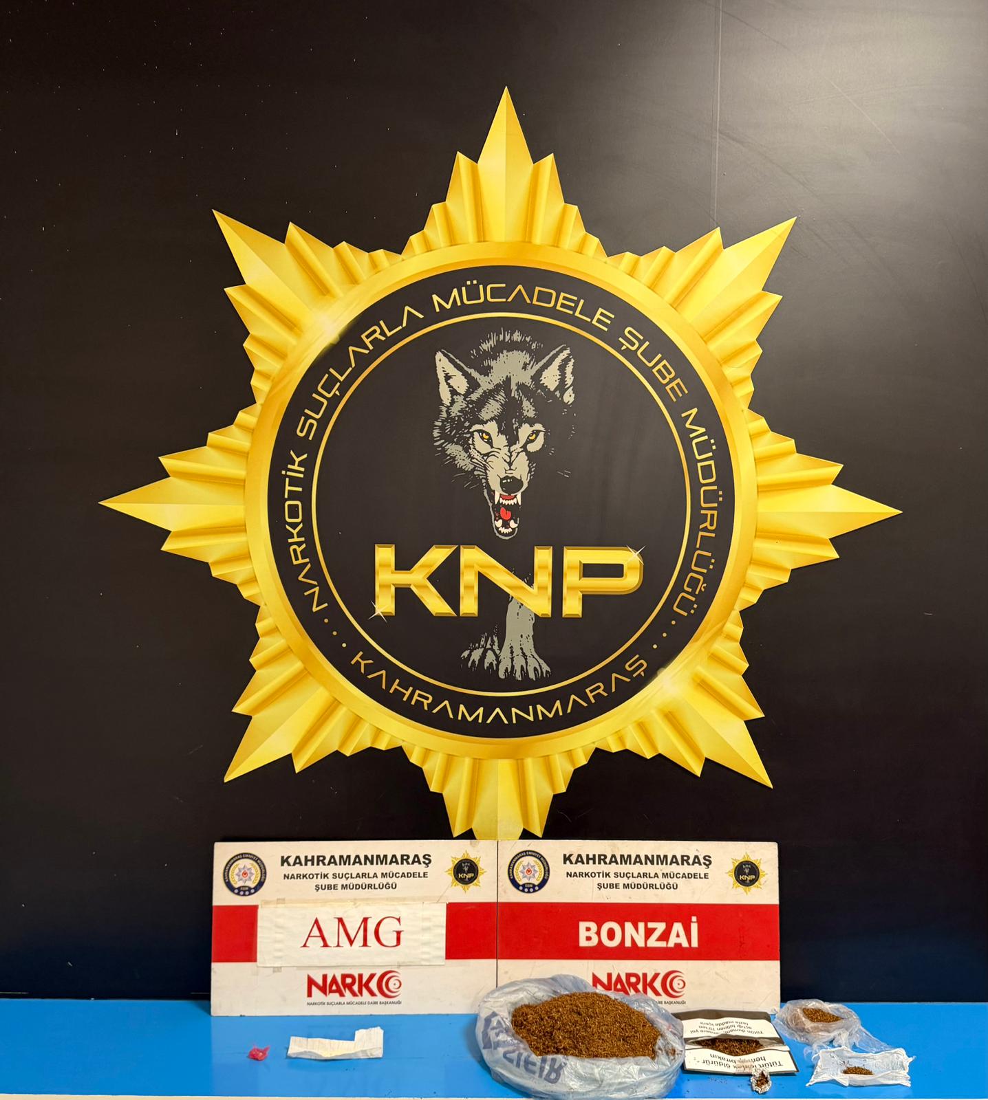 Whatsapp Image 2026 01 22 At 15.29.30 (1)