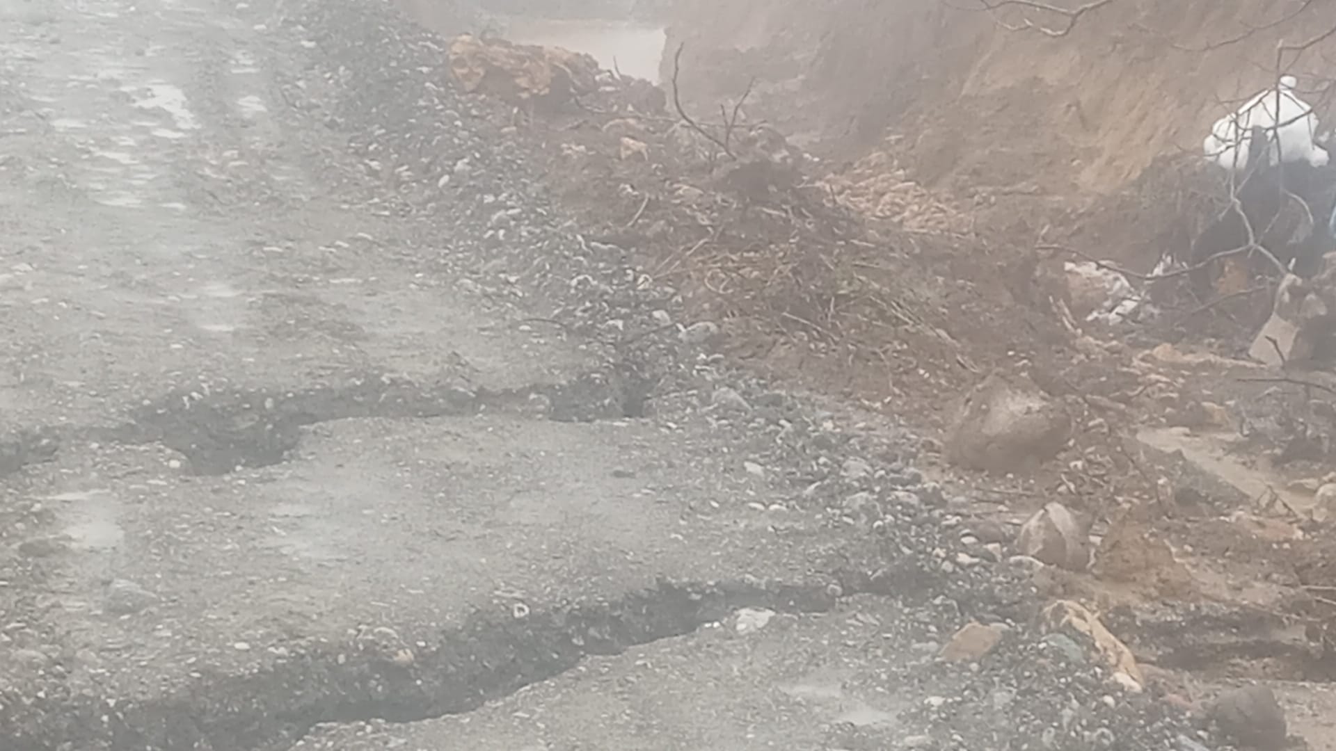 Whatsapp Image 2026 01 31 At 22.30.00