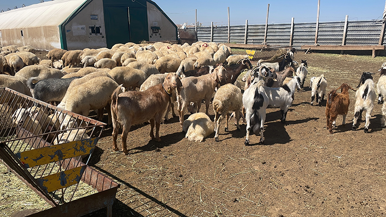 009 2023 002 2023 04 Kasim 17 20231127 2 61433663 95354984