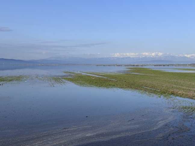 A A 20260216 40573851 40573842 K A H R A M A N M A R A S T A E T K I L I O L A N Y A G I S L A R I N A R D I N D A N B I N L E R C E D O N U M T A R I M A R A Z I S I S U A L T I N D A K A L D I