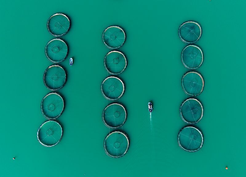 A A 20260225 40660073 40660056 K A H R A M A N M A R A S T A B A R A J L A R D A U R E T I L E N S O M O N V E A L A B A L I K I H R A C E D I L I Y O R