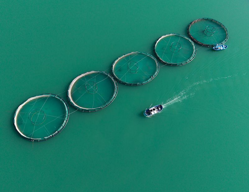 A A 20260225 40660073 40660057 K A H R A M A N M A R A S T A B A R A J L A R D A U R E T I L E N S O M O N V E A L A B A L I K I H R A C E D I L I Y O R