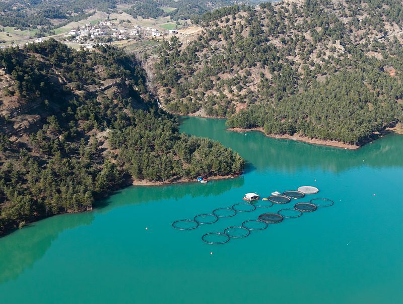 A A 20260225 40660073 40660062 K A H R A M A N M A R A S T A B A R A J L A R D A U R E T I L E N S O M O N V E A L A B A L I K I H R A C E D I L I Y O R