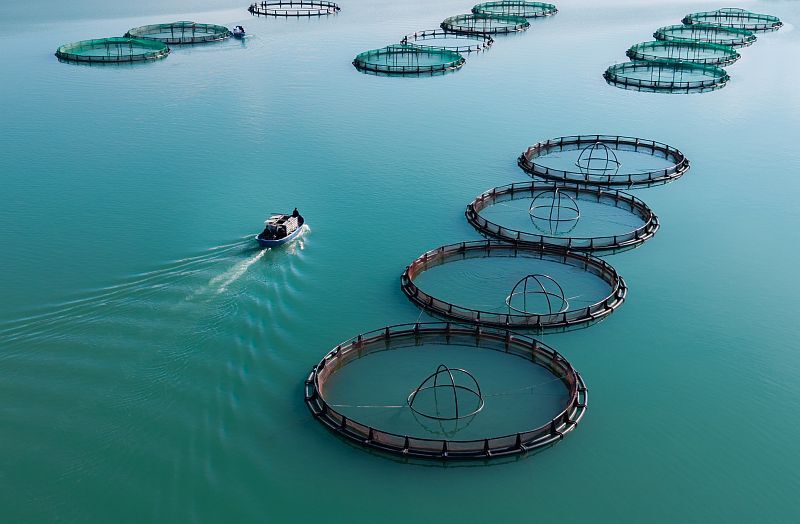 A A 20260225 40660073 40660063 K A H R A M A N M A R A S T A B A R A J L A R D A U R E T I L E N S O M O N V E A L A B A L I K I H R A C E D I L I Y O R