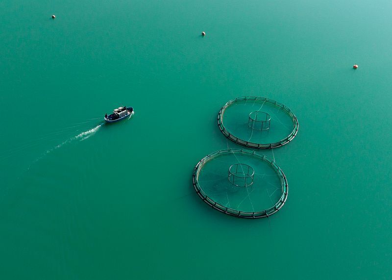 A A 20260225 40660073 40660064 K A H R A M A N M A R A S T A B A R A J L A R D A U R E T I L E N S O M O N V E A L A B A L I K I H R A C E D I L I Y O R