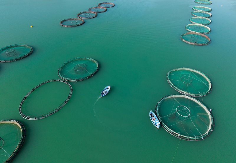 A A 20260225 40660073 40660065 K A H R A M A N M A R A S T A B A R A J L A R D A U R E T I L E N S O M O N V E A L A B A L I K I H R A C E D I L I Y O R