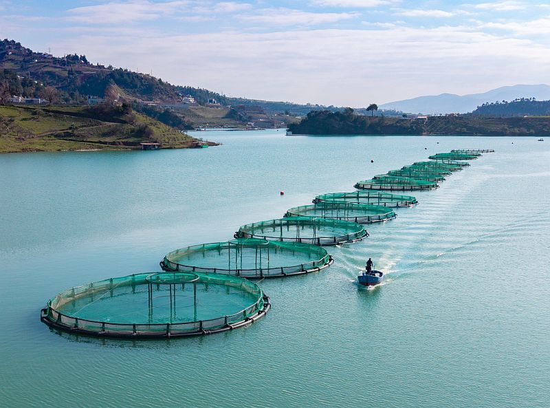 A A 20260225 40660073 40660067 K A H R A M A N M A R A S T A B A R A J L A R D A U R E T I L E N S O M O N V E A L A B A L I K I H R A C E D I L I Y O R