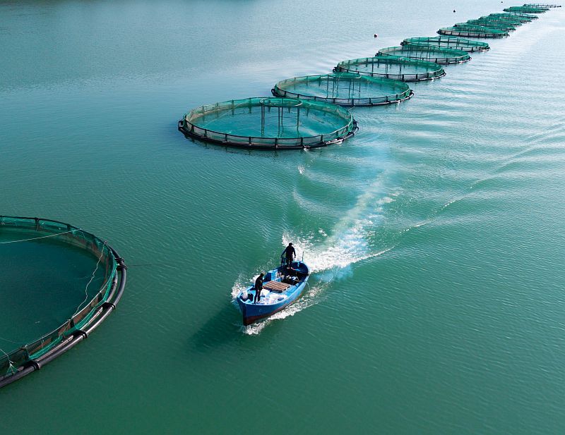 A A 20260225 40660073 40660068 K A H R A M A N M A R A S T A B A R A J L A R D A U R E T I L E N S O M O N V E A L A B A L I K I H R A C E D I L I Y O R