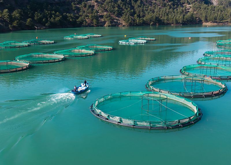 A A 20260225 40660073 40660069 K A H R A M A N M A R A S T A B A R A J L A R D A U R E T I L E N S O M O N V E A L A B A L I K I H R A C E D I L I Y O R