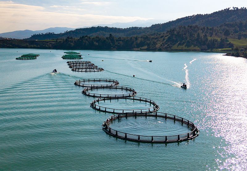 A A 20260225 40660073 40660070 K A H R A M A N M A R A S T A B A R A J L A R D A U R E T I L E N S O M O N V E A L A B A L I K I H R A C E D I L I Y O R