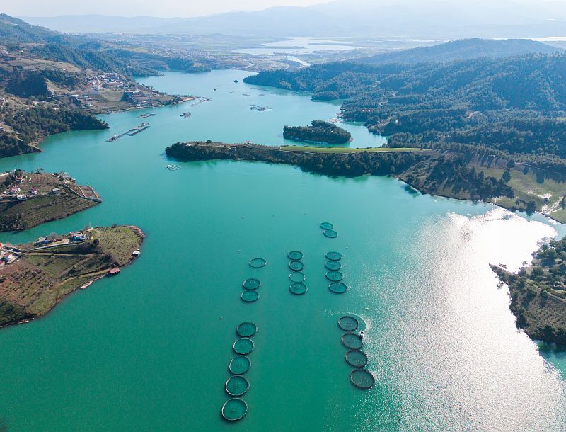 A A 20260225 40660073 40660071 K A H R A M A N M A R A S T A B A R A J L A R D A U R E T I L E N S O M O N V E A L A B A L I K I H R A C E D I L I Y O R