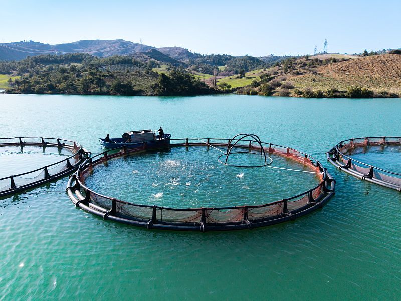 A A 20260225 40660073 40660072 K A H R A M A N M A R A S T A B A R A J L A R D A U R E T I L E N S O M O N V E A L A B A L I K I H R A C E D I L I Y O R