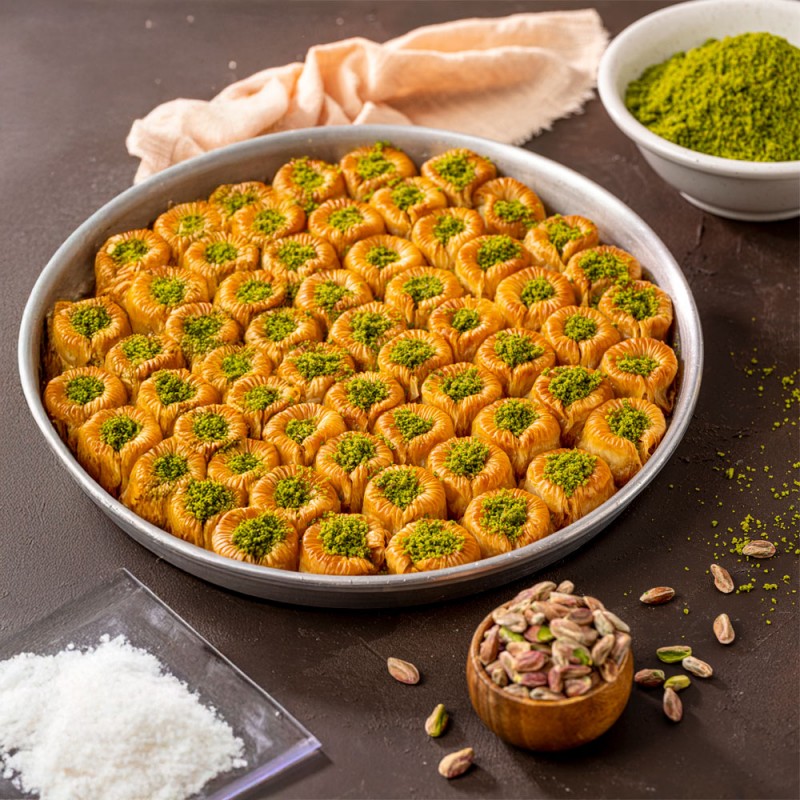 Fıstıklıbülbül 800X800