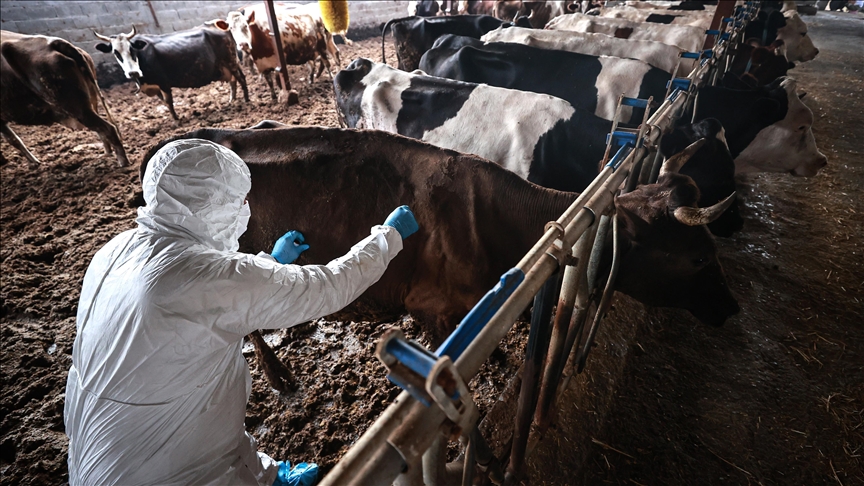 Thumbs B C 8D5E8590B3C9E102629218E22D5B646E (2)