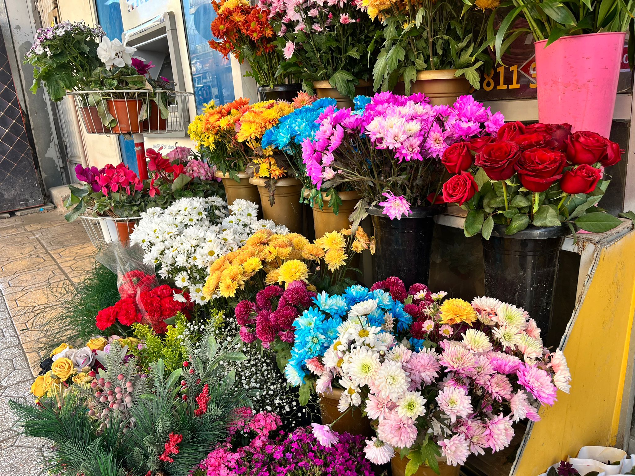 Whatsapp Image 2026 02 11 At 09.40.51