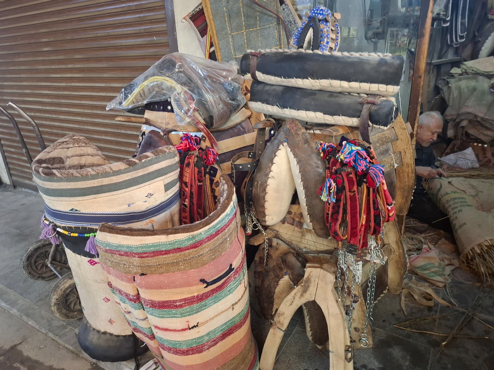 Whatsapp Image 2026 02 11 At 10.13.30 (2)