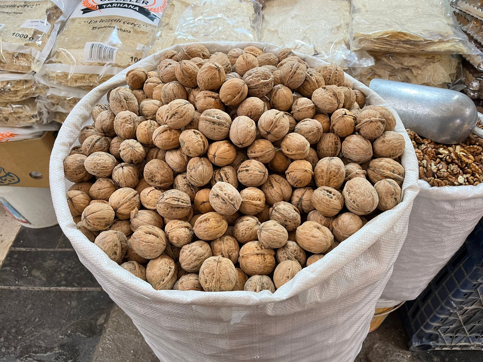 Whatsapp Image 2026 02 15 At 11.00.05