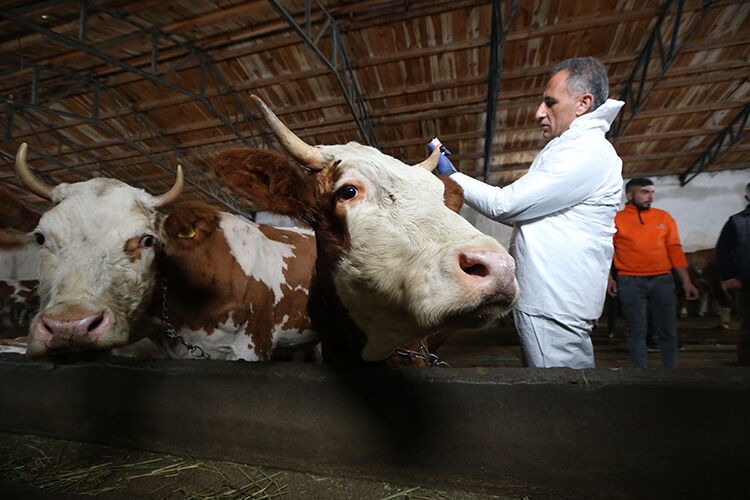 007 2025 01 Aralik 26 Aralik 2 20251218 2 72111876 120285908