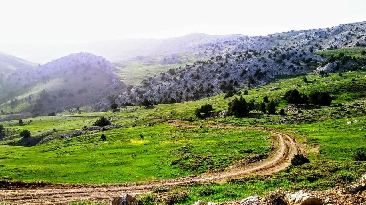 98285805 3117499788331209 6491676526252130304 N-1