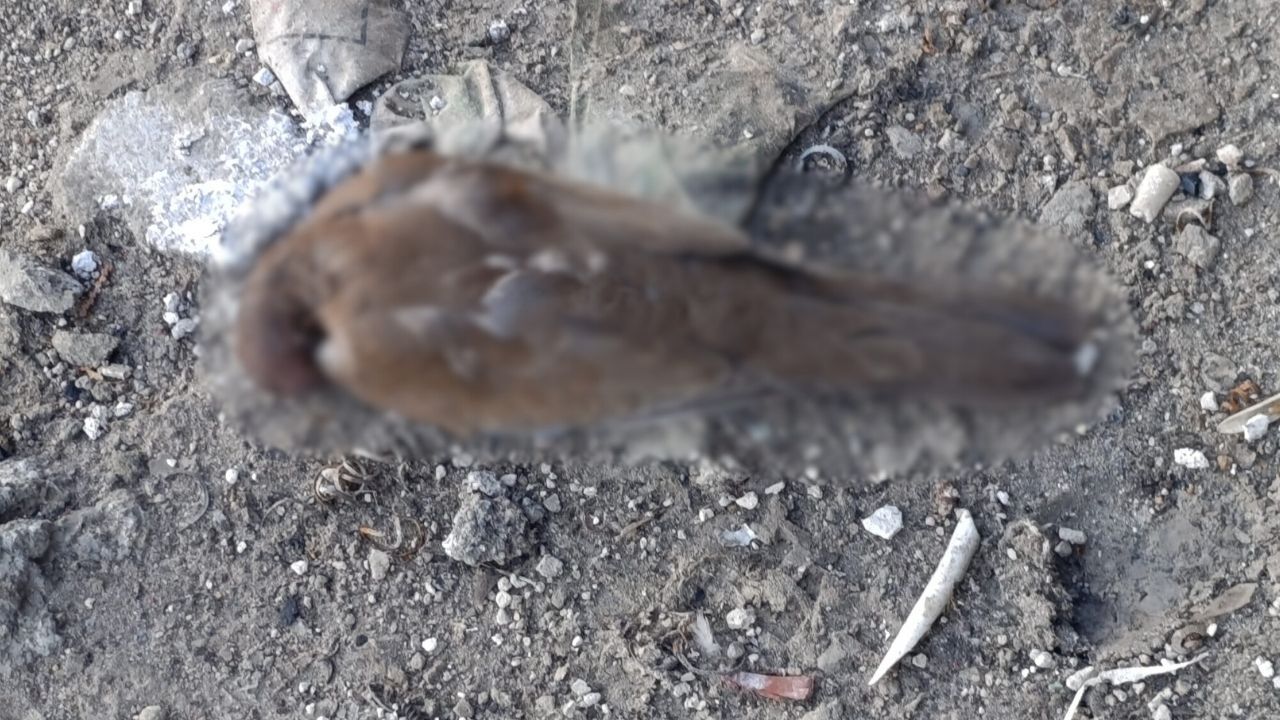 Adsız Tasarım (5)-69