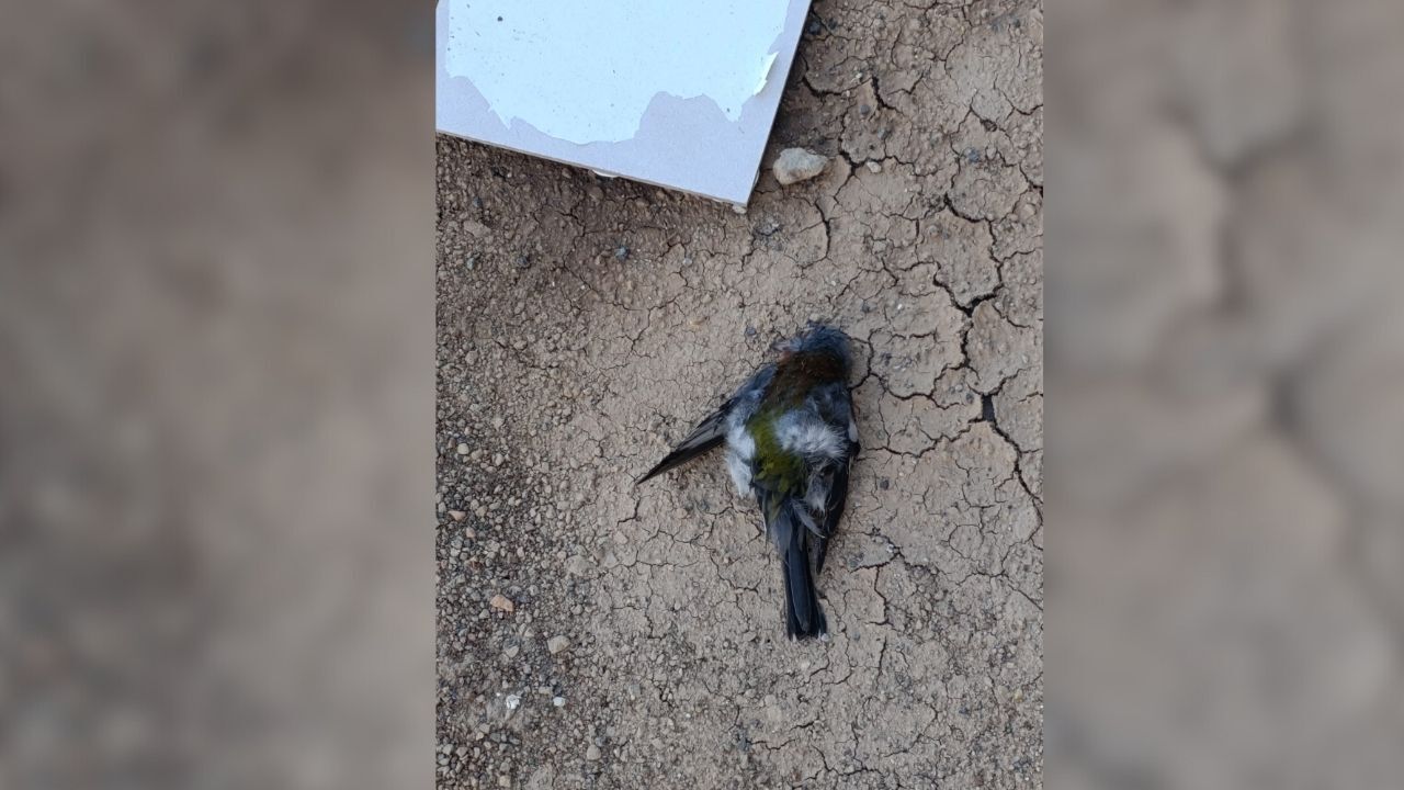 Adsız Tasarım (6)-56