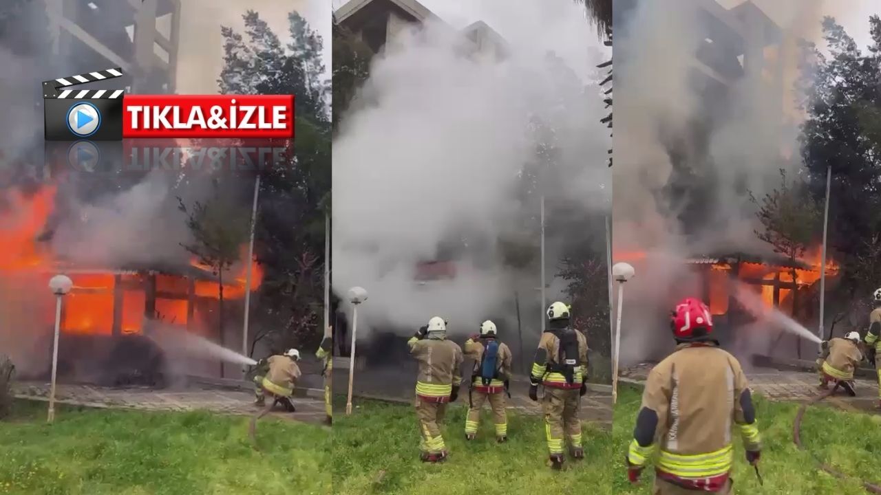 Adsız Tasarım (92)-11