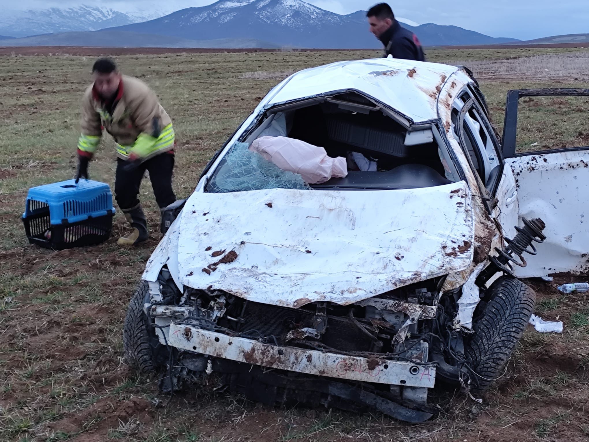 I M G 20260317 W A0002