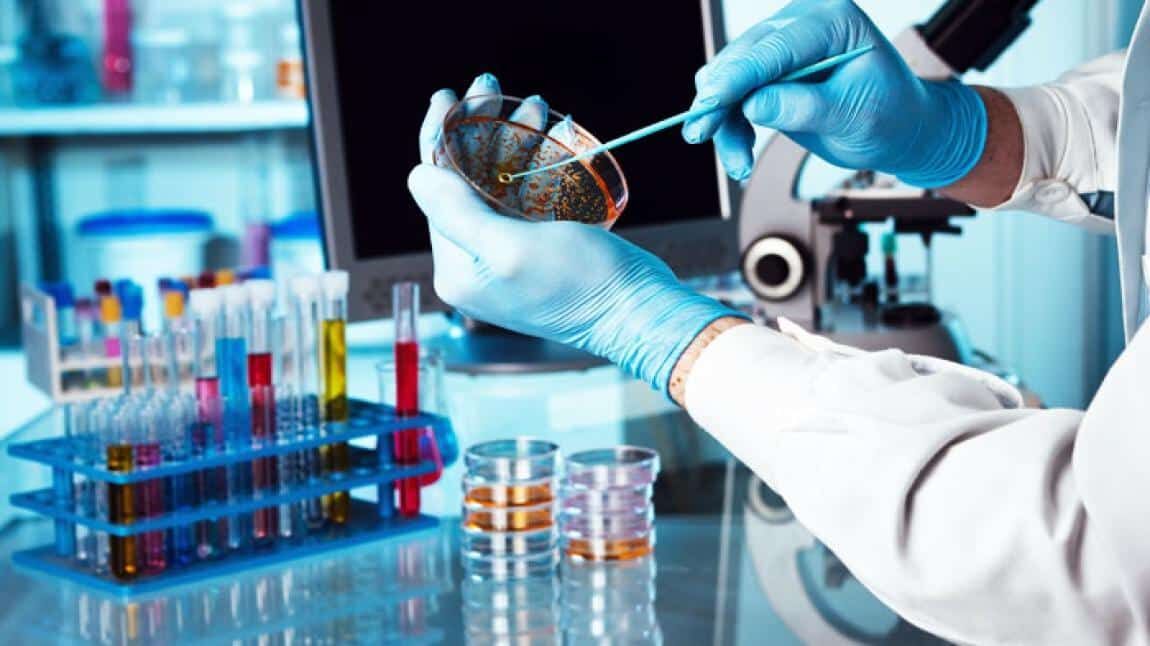 LABORATUVAR HİZMETİ ALINACAKTIR