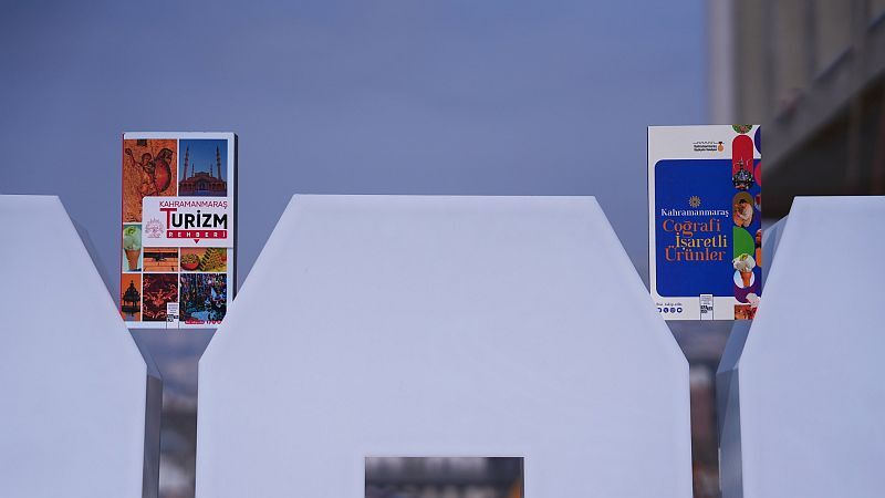 Kültür Yayınları (2)