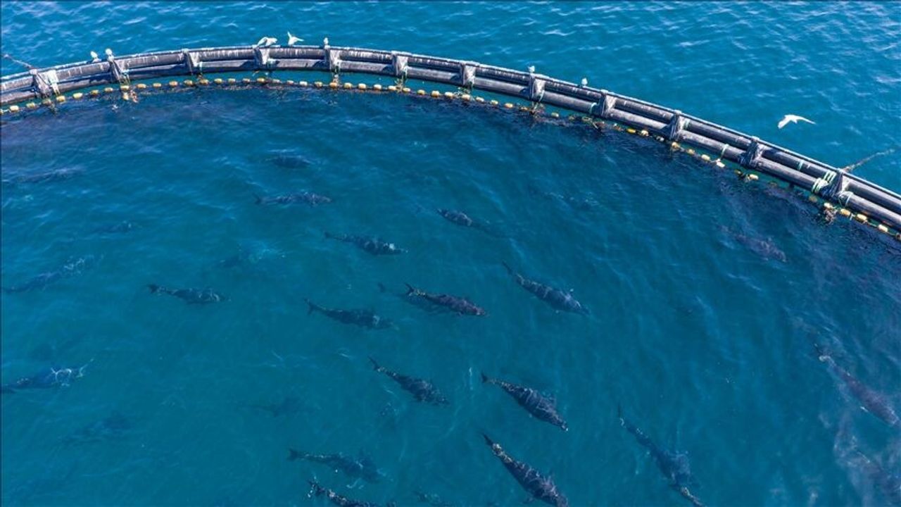 Thumbs B C 0C4Df49Af6Edf384Bb1Ea78D0B4E8A50