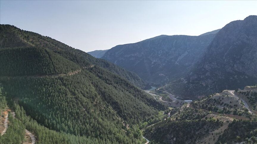 Thumbs B C 23Eb8Bcc00900B4324A368054A82097F