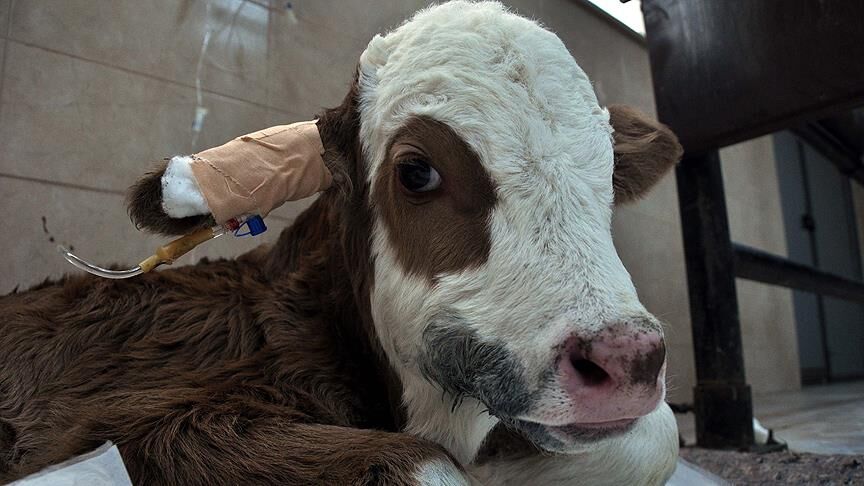 Thumbs B C 5Fc49C844C997A60B64F827E146A15C2