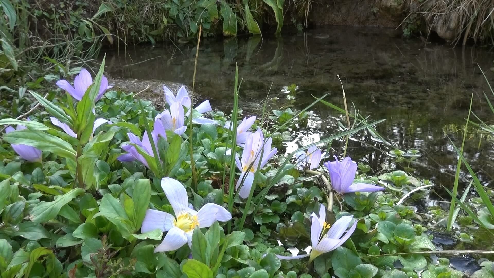 Whatsapp Image 2022 10 27 At 172106