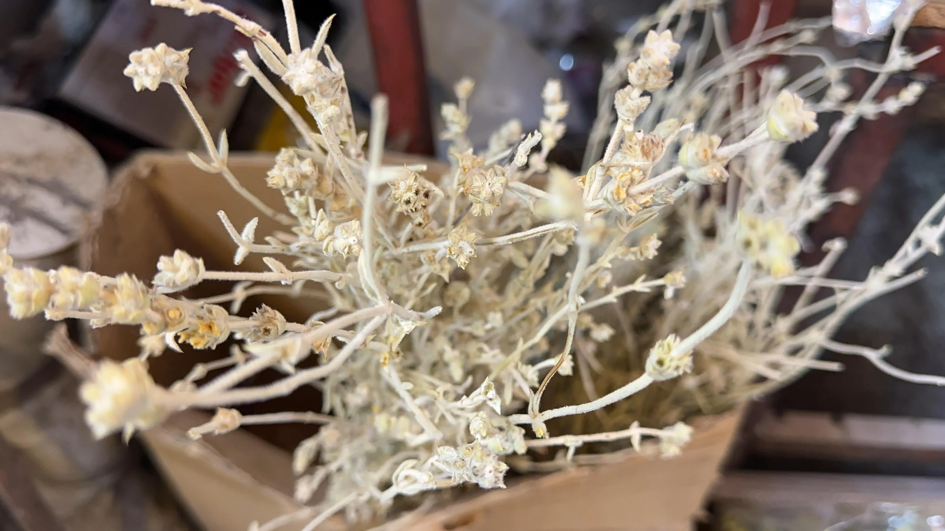 Whatsapp Image 2025 10 28 At 094956 3