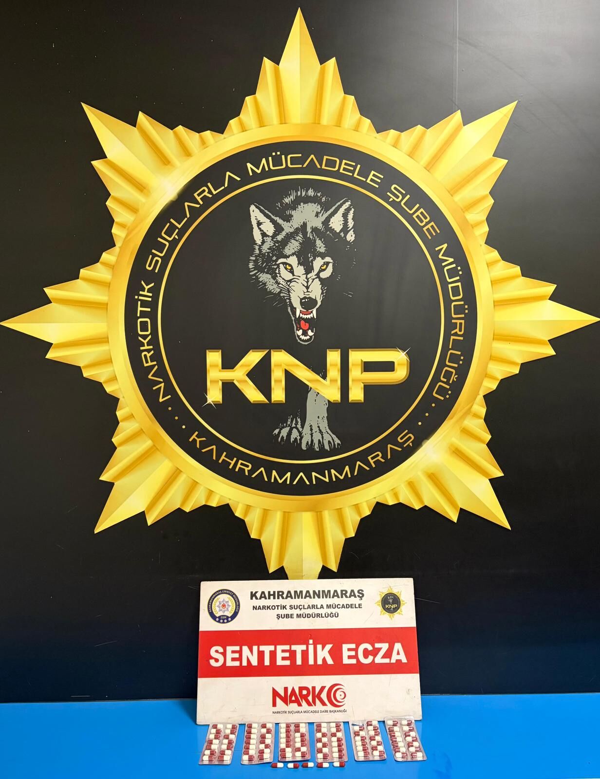 Whatsapp Image 2026 03 13 At 10.09.48