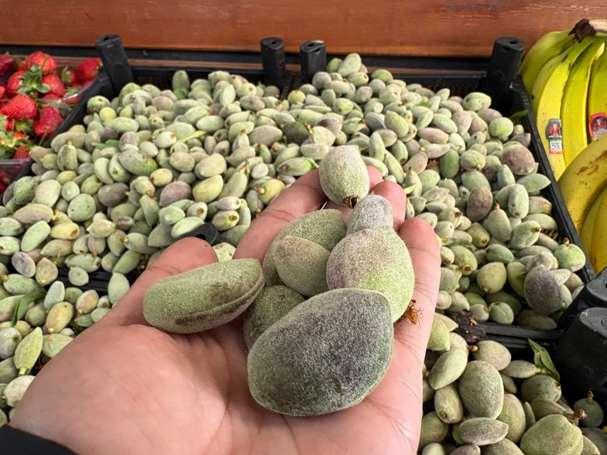 Whatsapp Image 2026 03 23 At 10.49.29