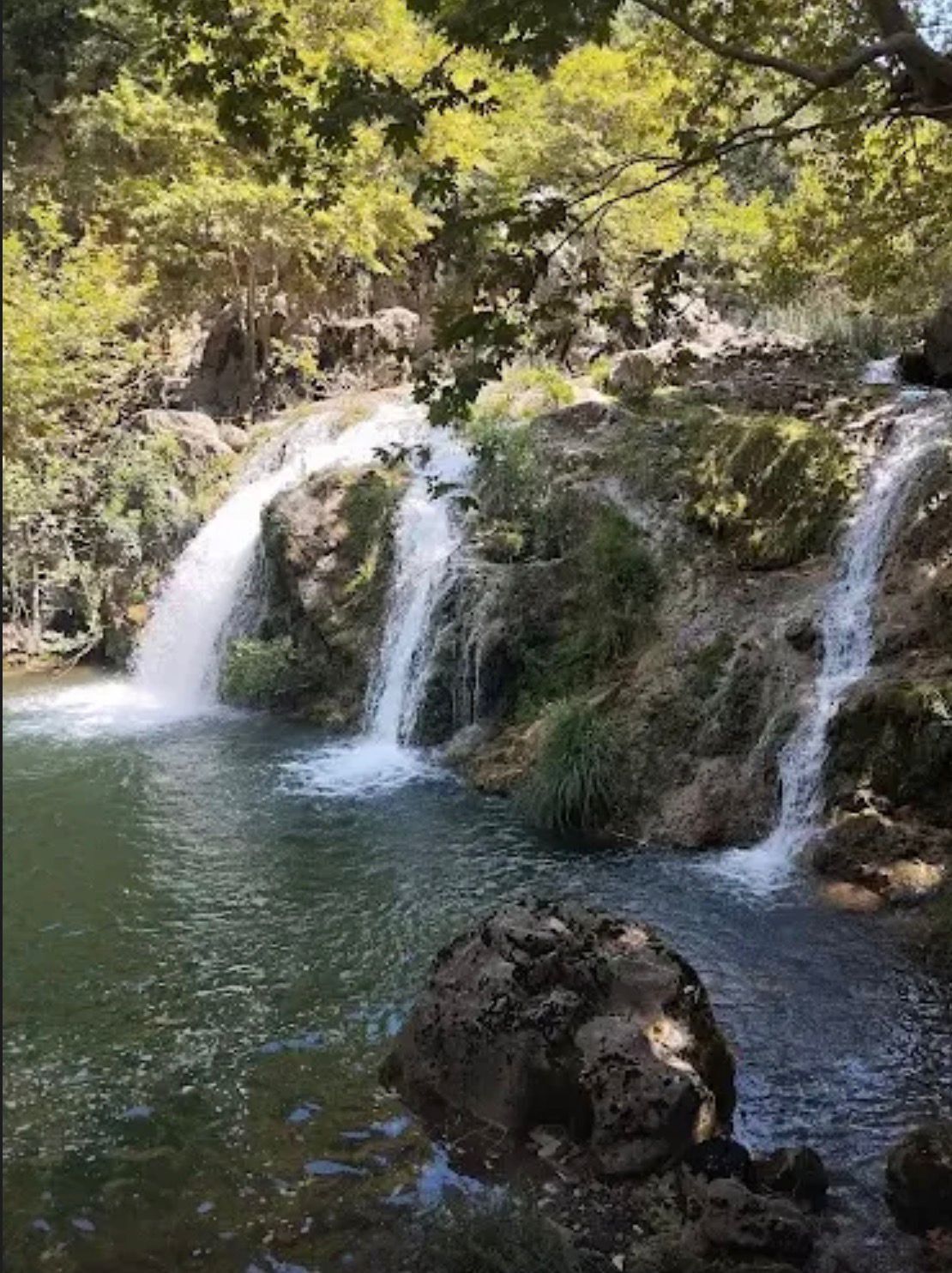 Whatsapp Image 2026 03 24 At 11.24.59